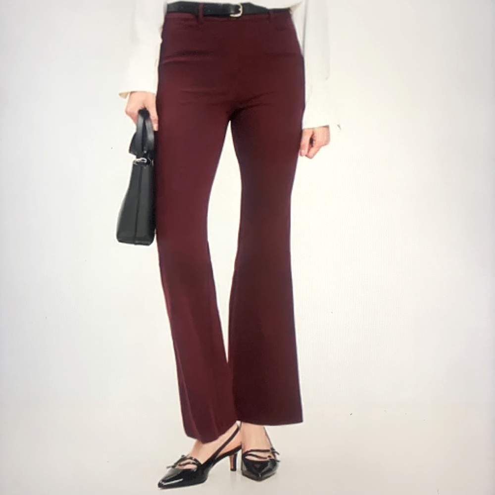 The Limited Plum Wide-Leg Pants